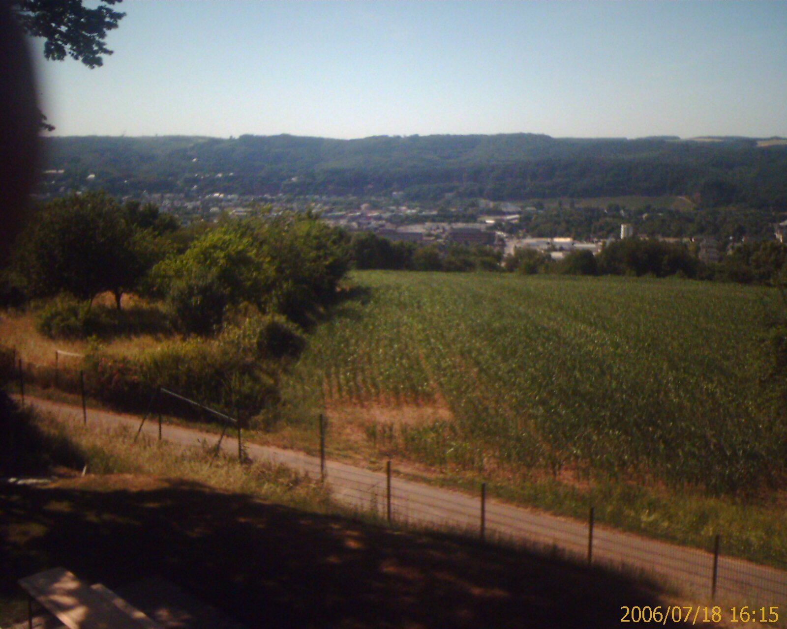 Blick über Trier im Sommer